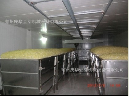 供应全自动豆芽机芽苗机花生芽机大型工厂化生产豆芽设备