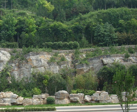 供应岩石边坡绿化