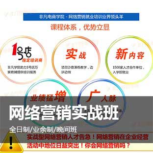 上海专业网络营销培训学校
