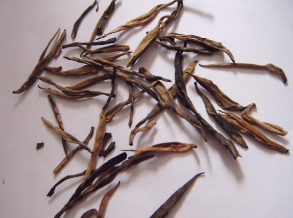 供应2011云南春茶大叶种红茶 白毫银针 工艺茶