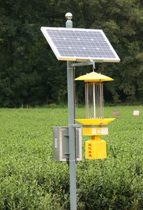 太阳能溺水式杀虫灯和太阳能频振式杀虫灯是利用太阳能光伏发电作为用