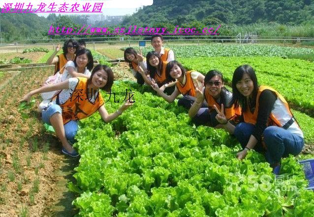 的旅行开启新的旅程尽在深圳九龙生态农业园-